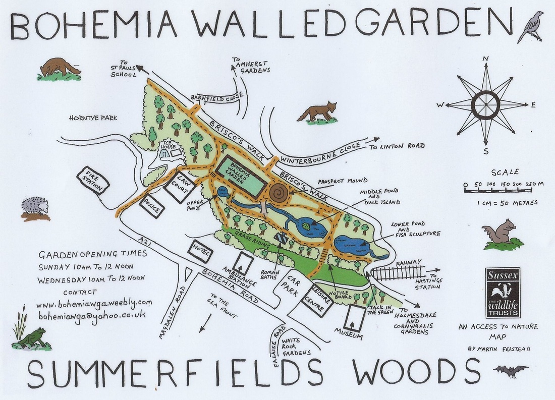 Map of Summerfields Wood By Martin Felstead
